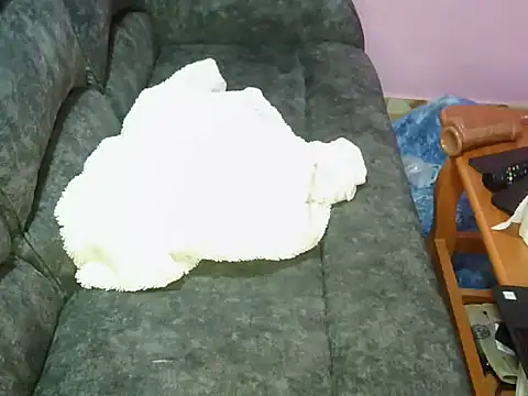 petitev online show from 11.04.25