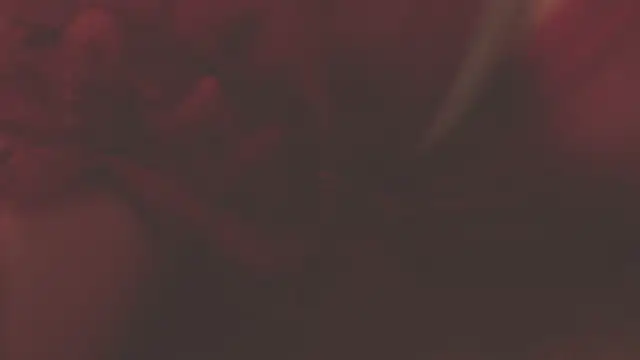 Snapshot of oxiris_1 chatting on 01.16.25 oxiris 1 online show from 01.16.25