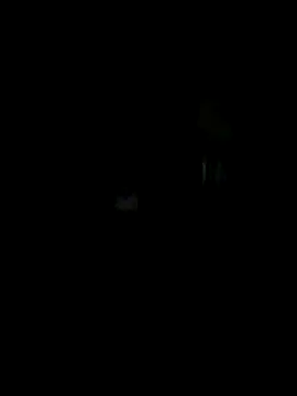 Off the Lesh online show from 10.15.25