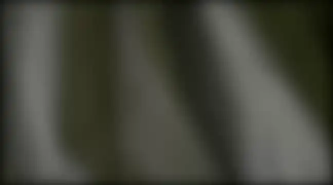 Snapshot of YoungHairyBi chatting on 02.28.25 YoungHairyBi online show from 02.28.25