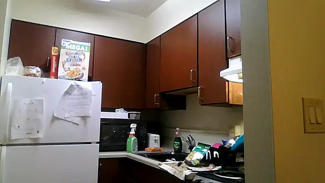 Snapshot of DreamvilleINC chatting on 11.02.25 DreamvilleINC online show from 11.02.25