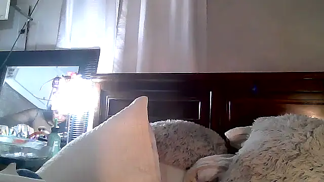 paiday online show from 12.04.24