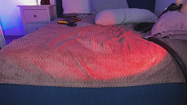 Snapshot of SindelDark chatting on 01.20.25 SindelDark online show from 01.20.25