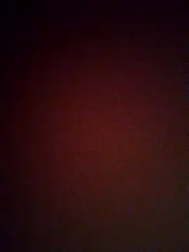 Snapshot of mendelicius chatting on 02.04.25 mendelicius online show from 02.04.25