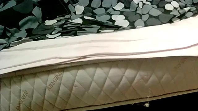 Snapshot of robertone80 chatting on 03.02.25 robertone80 online show from 03.02.25