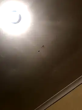 SmallGoodNut online show from 11.15.25