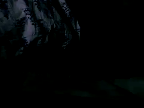 WHITEDAROSE online show from 02.19.25