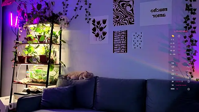 Your Corvus online show from 12.05.25