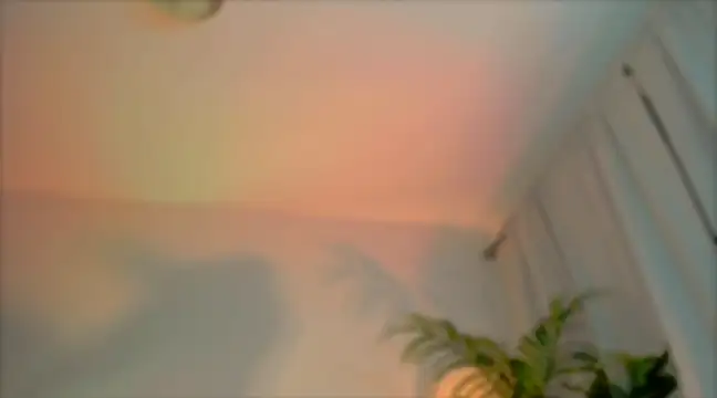 Snapshot of _cherry_bloss_ chatting on 03.04.25 cherry bloss online show from 03.04.25