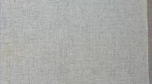 Snapshot of Ricardogo19 chatting on 12.27.24 Ricardogo19 online show from 12.27.24