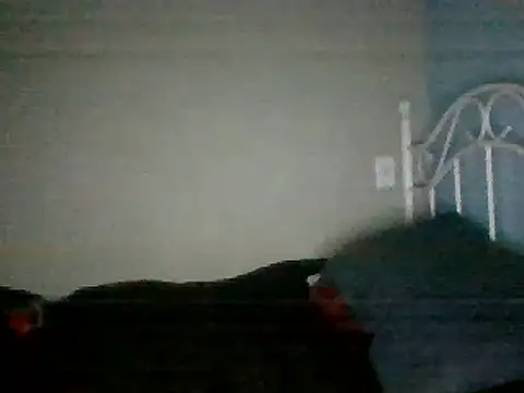 SmokingSloth online show from 03.16.25