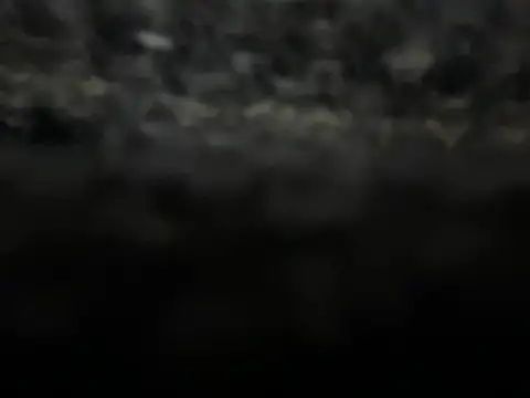 Snapshot of _my_ass_ chatting on 02.09.25  my ass  online show from 02.09.25