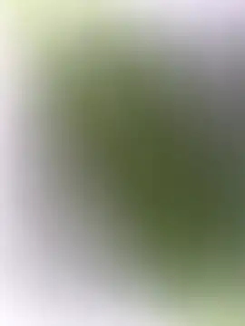 Snapshot of mrwright878787 chatting on 12.27.24 mrwright878787 online show from 12.27.24