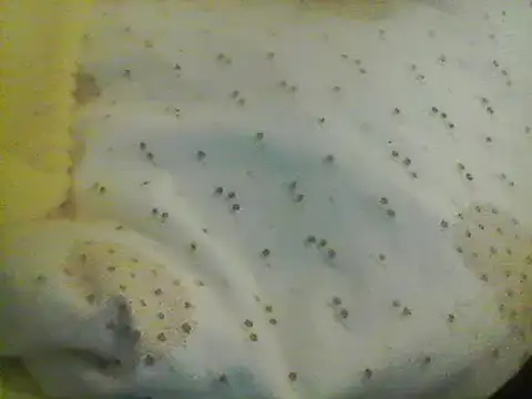 Snapshot of Bigpenis6y chatting on 01.24.25 Bigpenis6y online show from 01.24.25