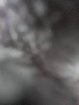 Snapshot of hungarian_dick chatting on 01.31.25 hungarian dick online show from 01.31.25