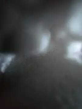 Snapshot of hungarian_dick chatting on 10.19.25 hungarian dick online show from 10.19.25