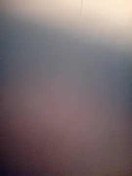 bustybillies online show from 11.15.25