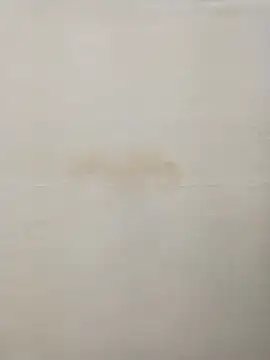 Snapshot of Rina777o chatting on 12.30.24 Rina777o online show from 12.30.24