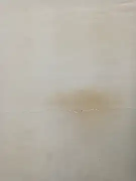 Snapshot of Rina777o chatting on 03.07.25 Rina777o online show from 03.07.25