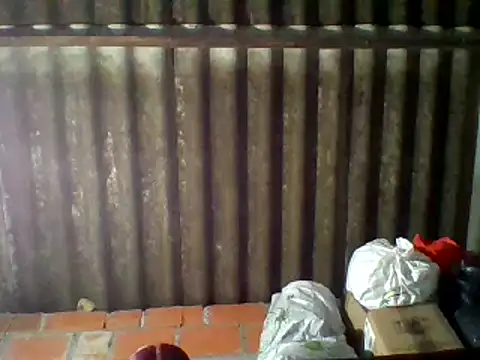 Snapshot of dafne19_ chatting on 02.16.25 dafne19 online show from 02.16.25