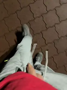 rundum40 online show from 01.24.25