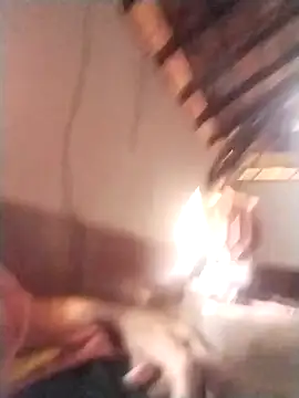 rajshank online show from 12.29.24