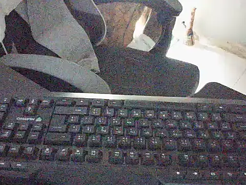 Snapshot of DZ1996 chatting on 11.16.25 DZ1996 online show from 11.16.25