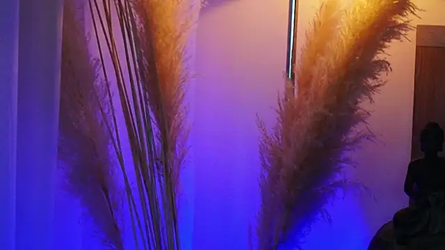 AliceShazaham  online show from 09.12.25