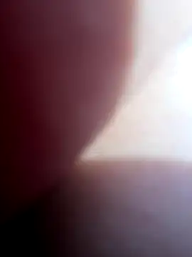 Blue butterfly online show from 09.28.25