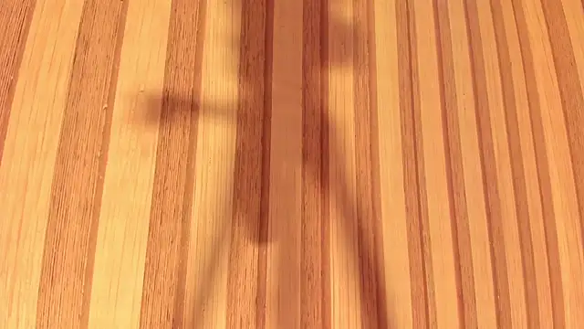 Snapshot of Daisy__rose chatting on 02.22.25 Daisy rose online show from 02.22.25