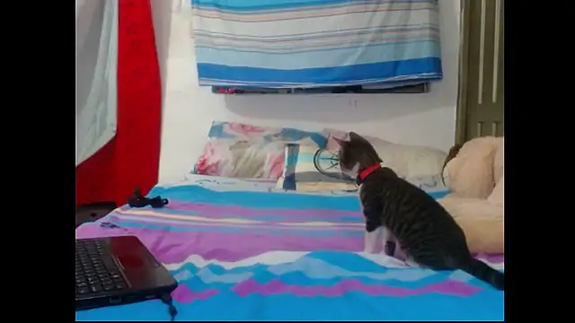 Snapshot of perverted_couple_- chatting on 12.23.24 perverted couple - online show from 12.23.24