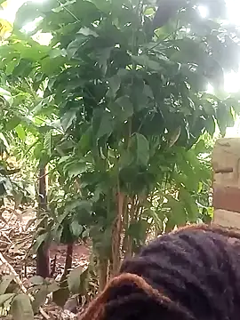 Black juicy24 online show from 01.26.25