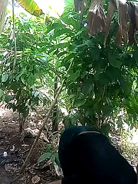 Black juicy24 online show from 02.06.25