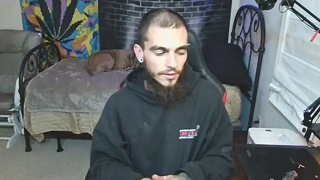 XMeF10 online show from 01.03.25