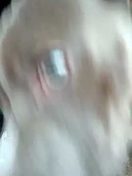 hoesinthishouse78 online show from 11.22.25