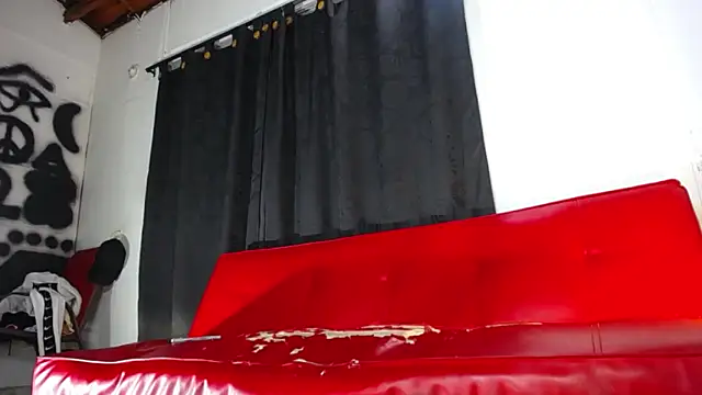 Snapshot of Dexter-T chatting on 01.03.25 Dexter-T online show from 01.03.25