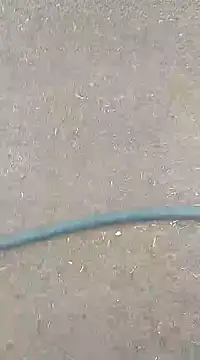 Snapshot of AuntyLover_BhabhiLover_ chatting on 02.07.25 AuntyLover BhabhiLover  online show from 02.07.25