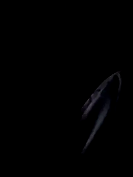 Snapshot of Inkognito0495 chatting on 10.29.25 Inkognito0495 online show from 10.29.25