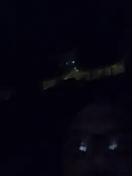 Watson4U online show from 12.13.24