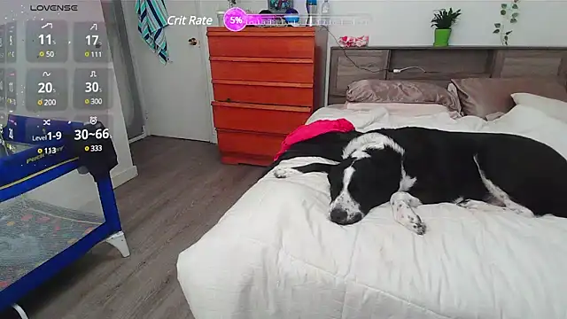 Kittyymaze1 online show from 03.02.25