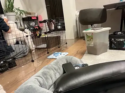 kensnb online show from 11.01.25