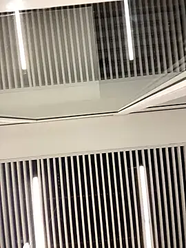 SuzieMurray online show from 02.12.25