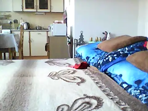 Snapshot of Lisak951 chatting on 12.11.24 Lisak951 online show from 12.11.24