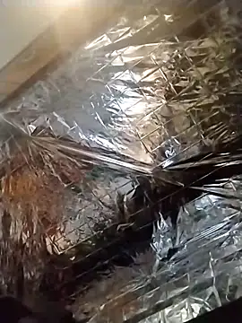 Snapshot of axelongshaft69 chatting on 12.19.24 axelongshaft69 online show from 12.19.24