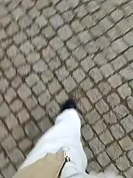 Snapshot of domexib chatting on 02.15.25 domexib online show from 02.15.25