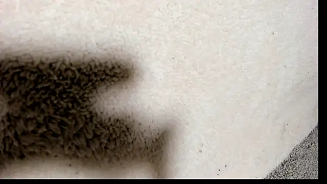 Brock hurn1 online show from 09.15.25