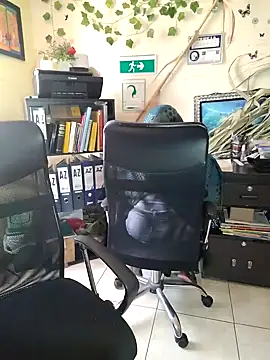 Snapshot of NAJWA-ARAB chatting on 01.15.25 NAJWA-ARAB online show from 01.15.25