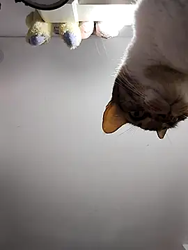 DannaDooll99 online show from 03.06.25