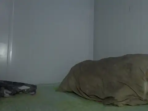 serjdj90 online show from 11.11.25