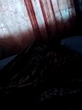 Ggjvdfhvde online show from 11.13.25